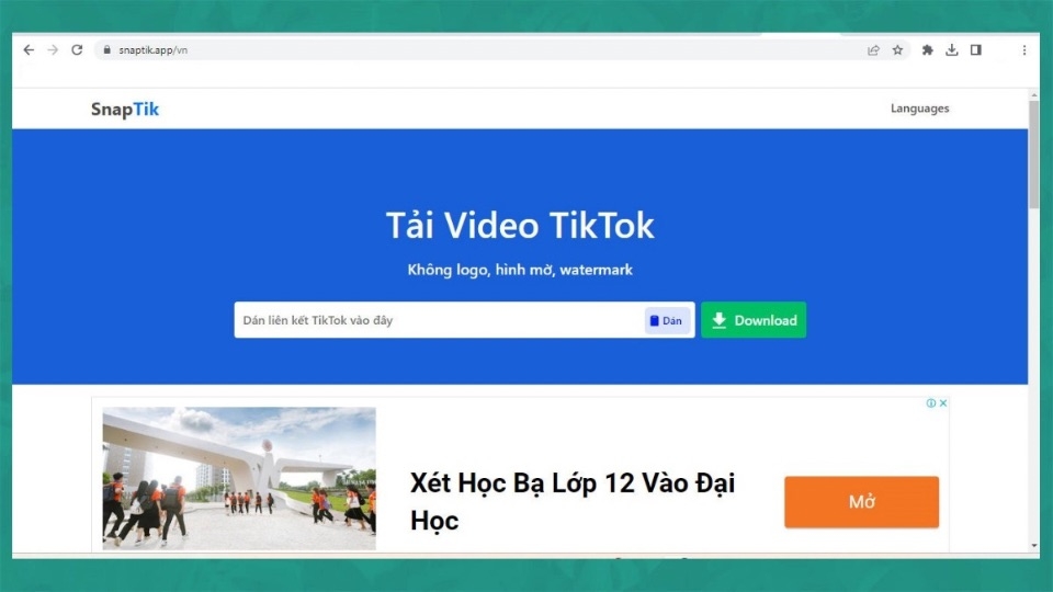 Snaptik hỗ trợ tải Douyin không logo