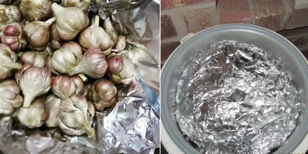 cách làm tỏi đen bằng nồi cơm điện 3