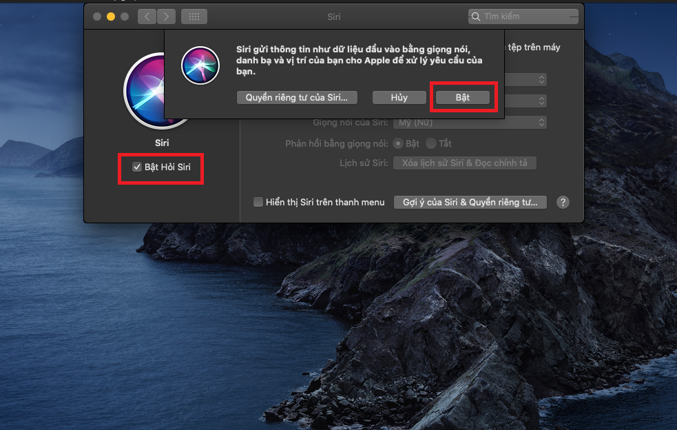 Đây là cách thay đổi giọng nói và ngôn ngữ của Siri trên MacOS (4)