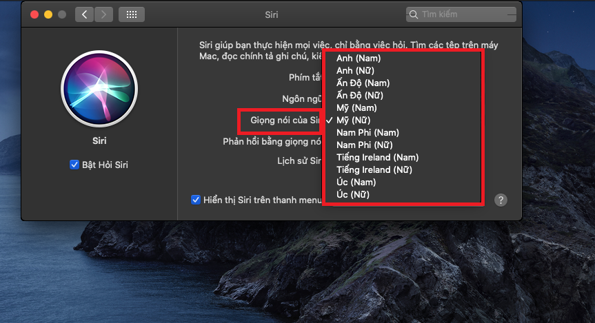 Đây là cách thay đổi giọng nói và ngôn ngữ của Siri trên MacOS (5)