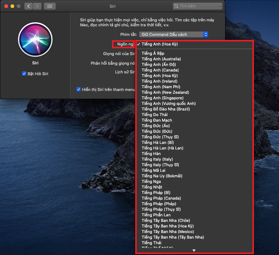 Đây là cách thay đổi giọng nói và ngôn ngữ của Siri trên MacOS (9)