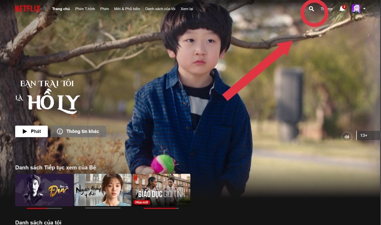 Cách tìm phim thuyết minh trên Netflix cực dễ bằng máy tính, điện thoại (2)