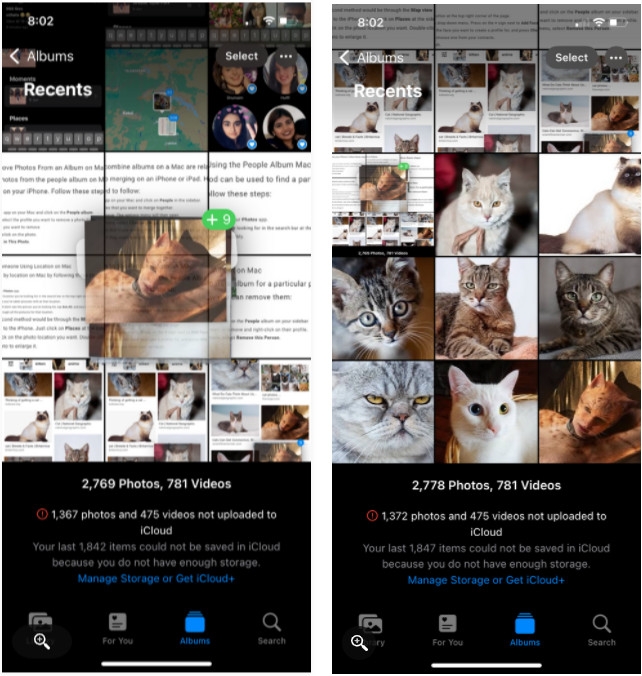Mẹo lưu nhiều ảnh từ Safari cùng lúc trên iOS 15 (2)