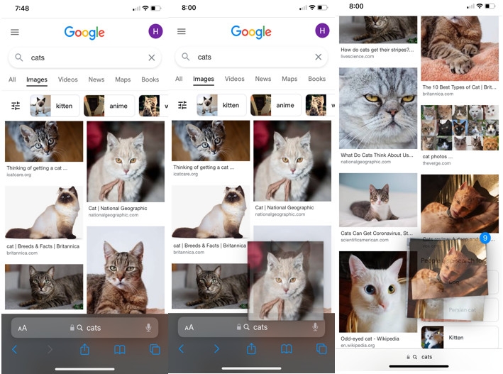 Mẹo lưu nhiều ảnh từ Safari cùng lúc trên iOS 15 (1)