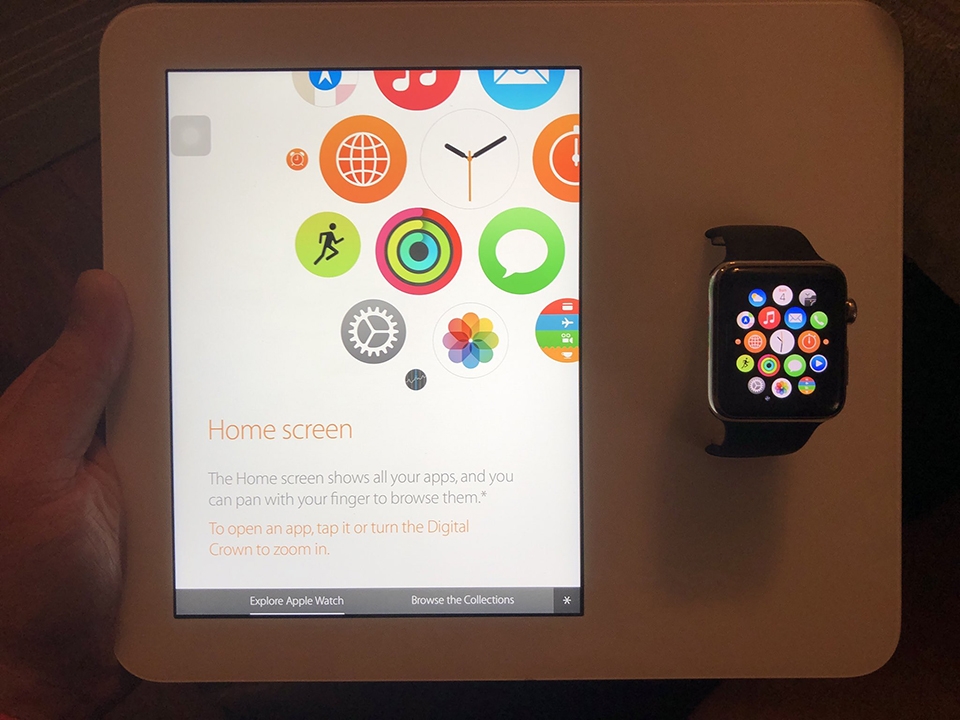 Apple Watch Pro (ảnh 1)