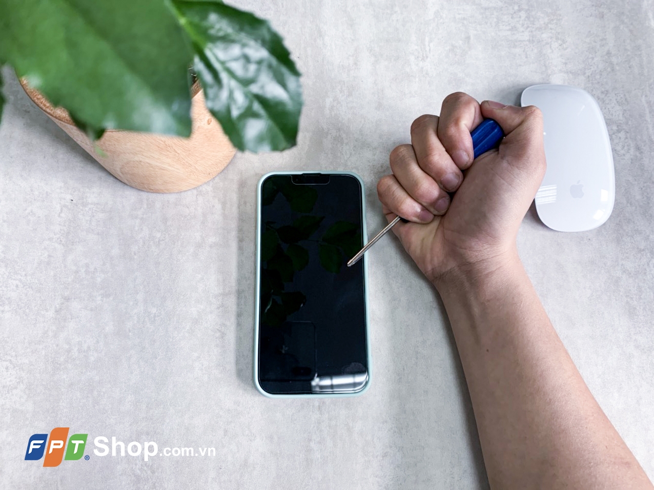 Miếng dán màn hình Belkin