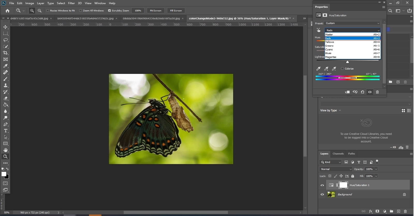 Hướng dẫn cách đổi màu trong Photoshop đơn giản, dễ thực hiện