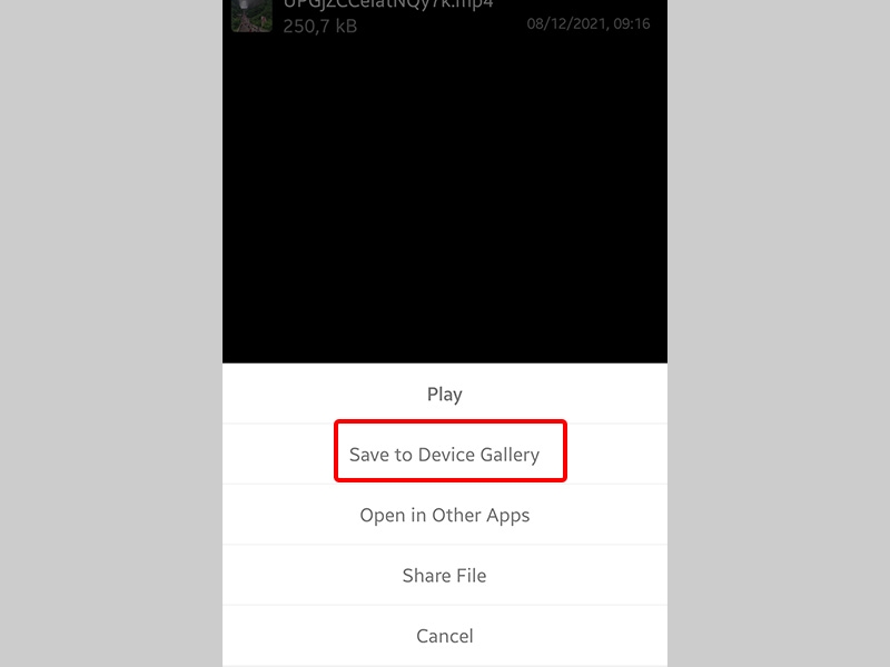 Sau đó nhấn vào Save to Device Gallery