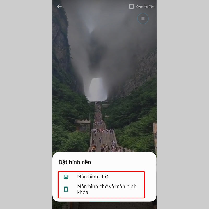Tùy chọn cách đặt hình nền của bạn