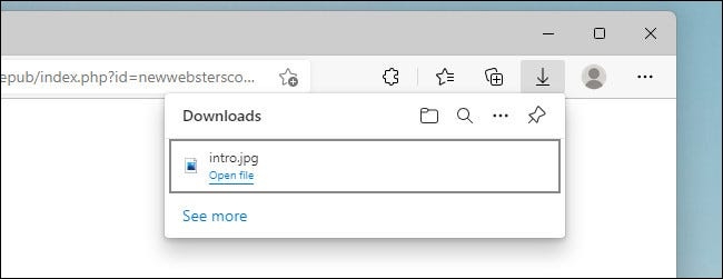 Cách xem và xóa lịch sử tải xuống trong Microsoft Edge (2)