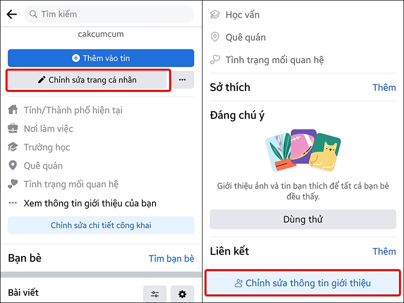 Nhấn vào Chỉnh sửa trang cá nhân và chọn Chỉnh sửa thông tin giới thiệu