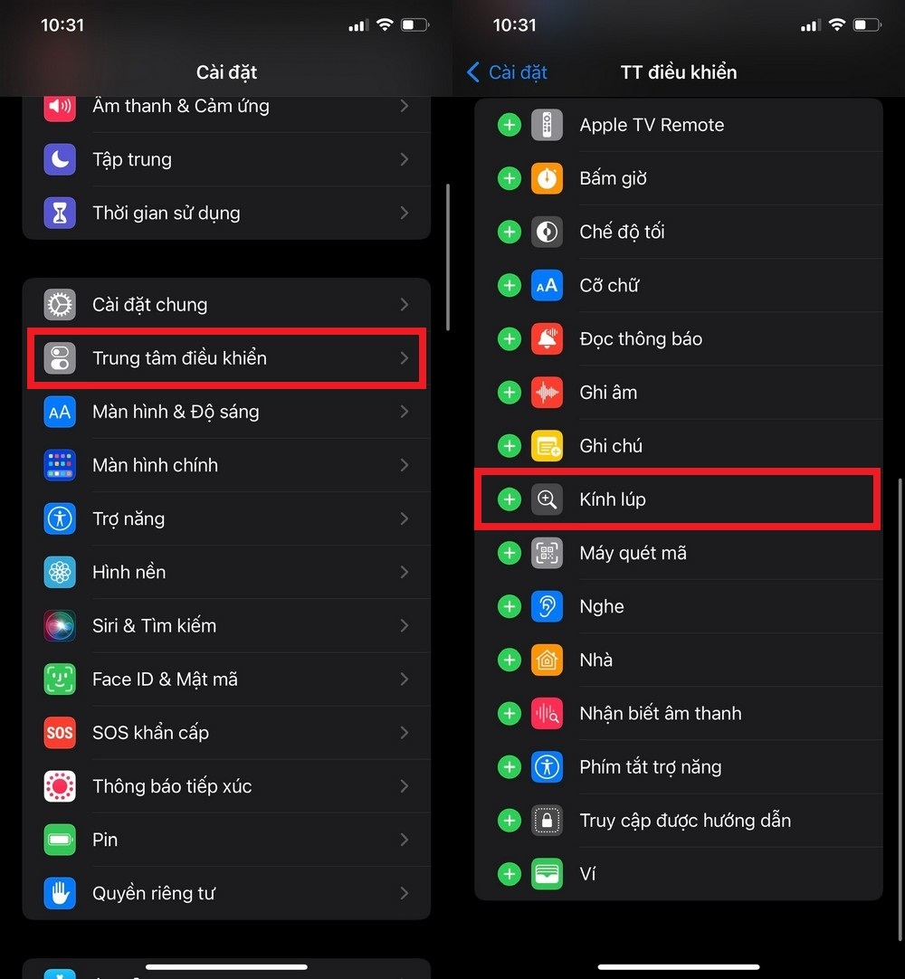 Cách phóng to mọi vật bằng kính lúp trên iPhone (2)