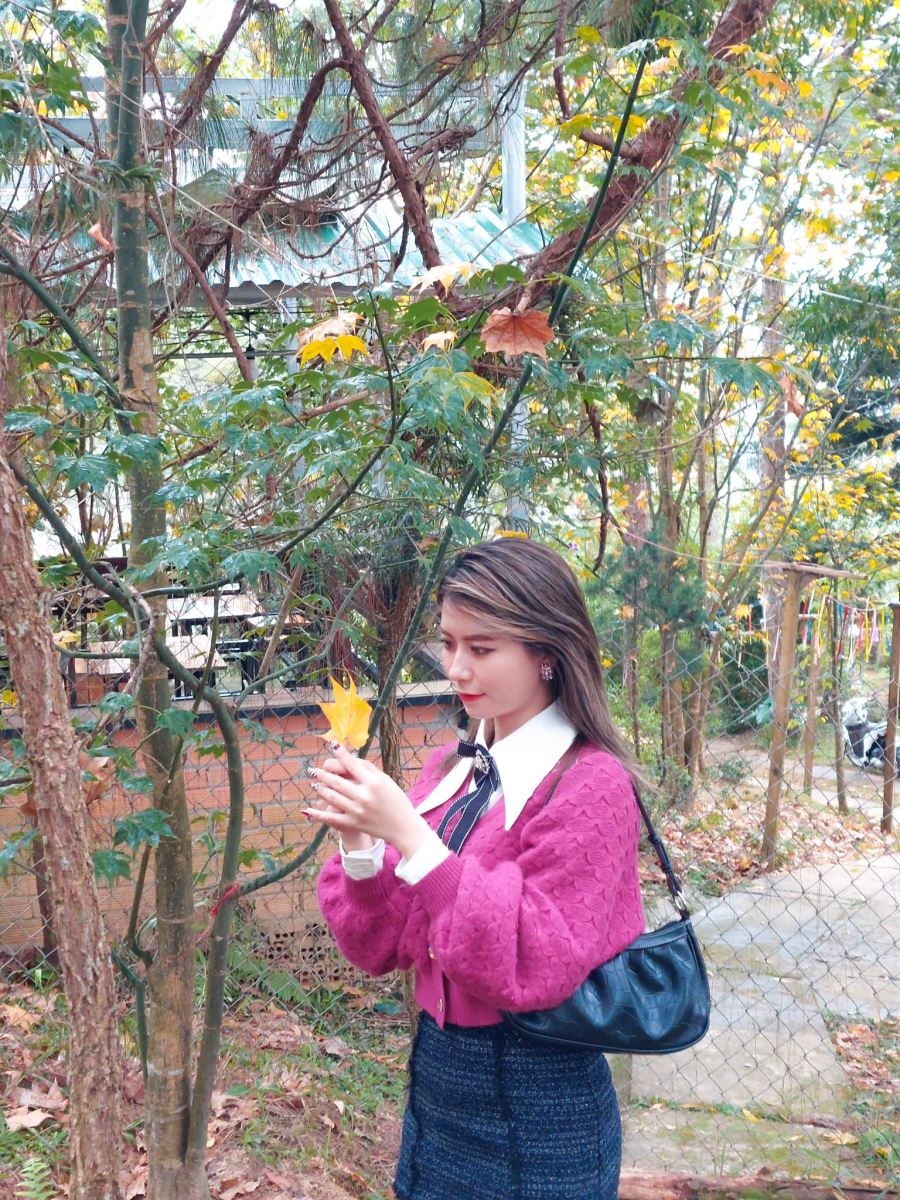 Gói cái se lạnh Đà Lạt ngày đầu năm vào khuôn hình Samsung Galaxy A52s 5G 3