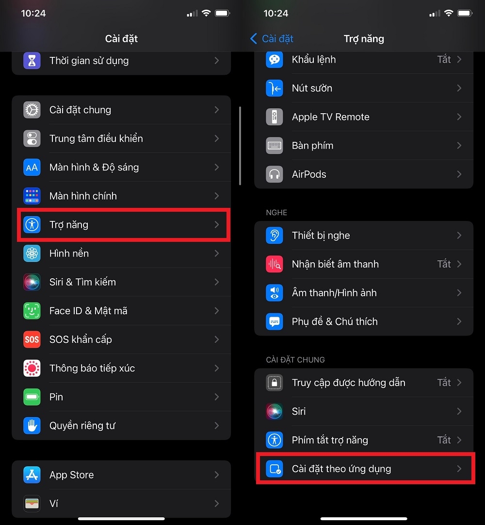 Cách cài đặt trợ năng cho từng ứng dụng trên iPhone chạy iOS 15 (1)