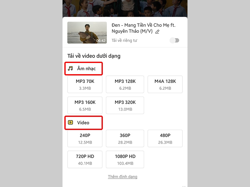 Chọn định dạng và chất lượng video bạn muốn