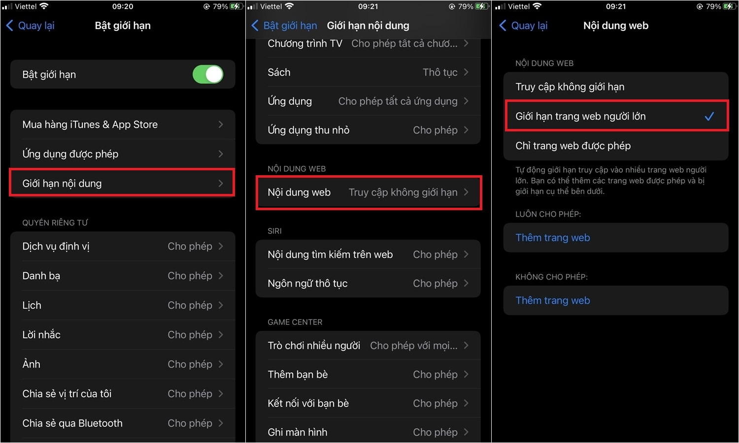 Hướng dẫn cách chặn các trang web đen trên iPhone (2)