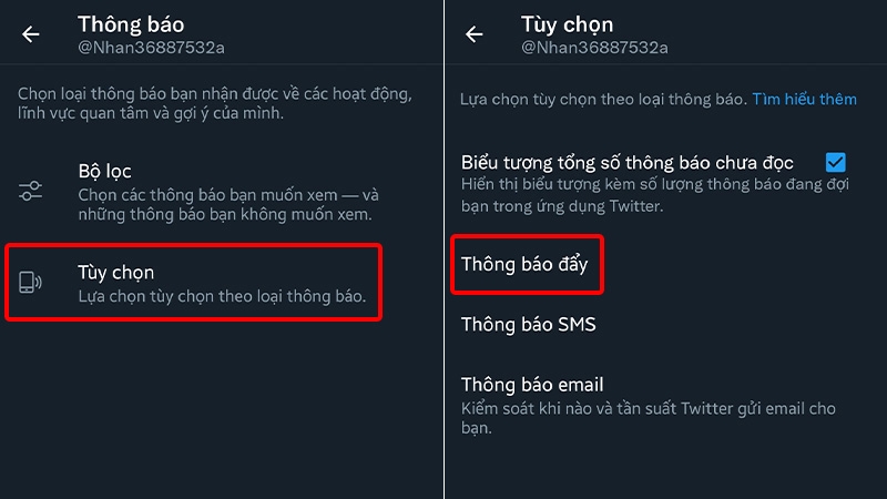 Nhấn vào Tùy chọn và chọn Thông báo đẩy