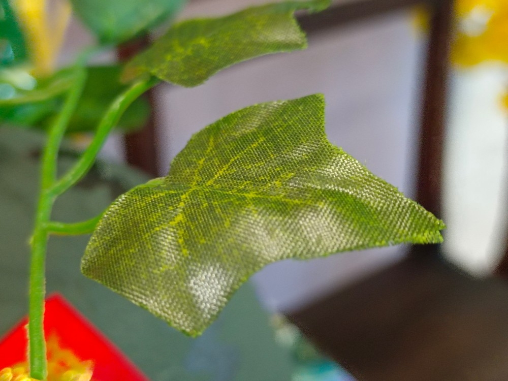 Khả năng chụp ảnh trên vivo V23 5G sẽ như thế nào? (7)