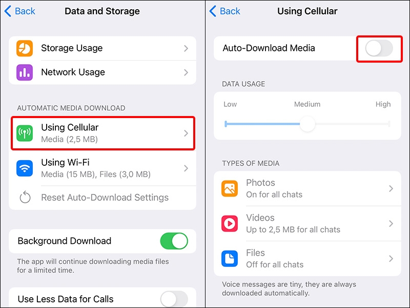 Nhấn vào Using Cellular và tắt mục Auto-Download Media