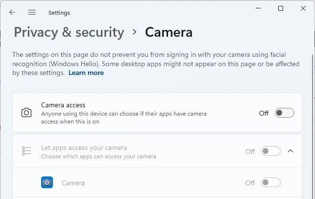Cách ngăn Windows 11 theo dõi bạn (11)