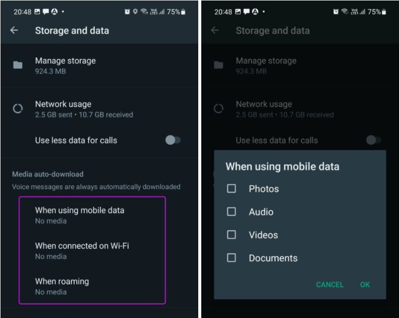 Cách ngăn WhatsApp lưu ảnh trên iPhone và Android (7)
