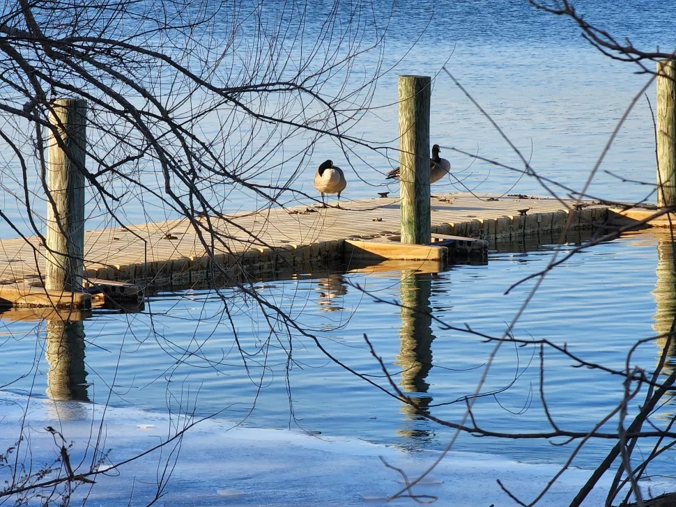 Samsung Galaxy S22 Ultra 8 Samsung Galaxy S22 Ultra 8