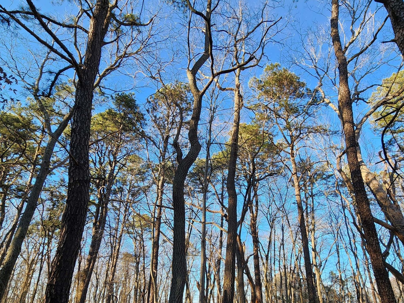 Samsung Galaxy S22 Ultra 9 Samsung Galaxy S22 Ultra 9