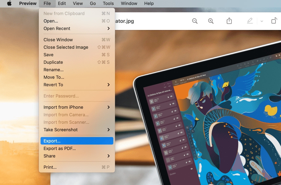 Mẹo giảm kích thước file ảnh trên iPhone và Mac (4)