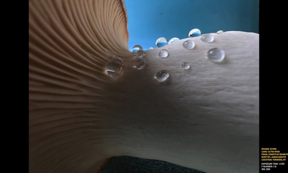 Tính năng iPhone 13 (ảnh 5) Tính năng iPhone 13 (ảnh 5)