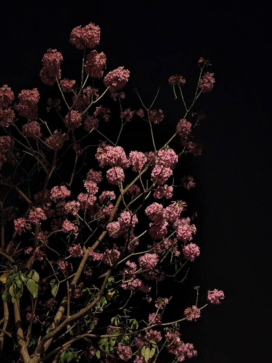 Camera Galaxy S22 Series – Mắt thần bóng đêm cùng bạn tận hưởng Nightlife tuyệt vời 4