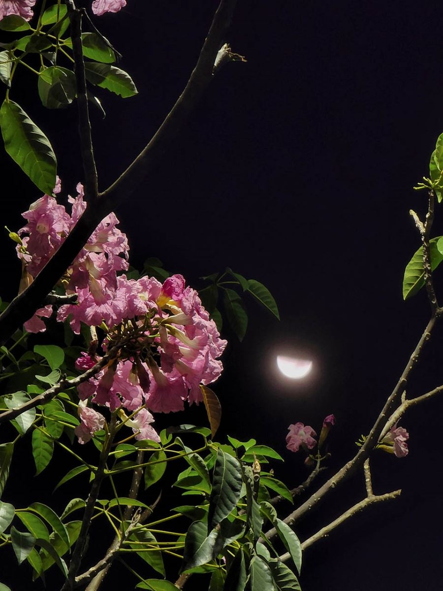 Camera Galaxy S22 Series – Mắt thần bóng đêm cùng bạn tận hưởng Nightlife tuyệt vời 5