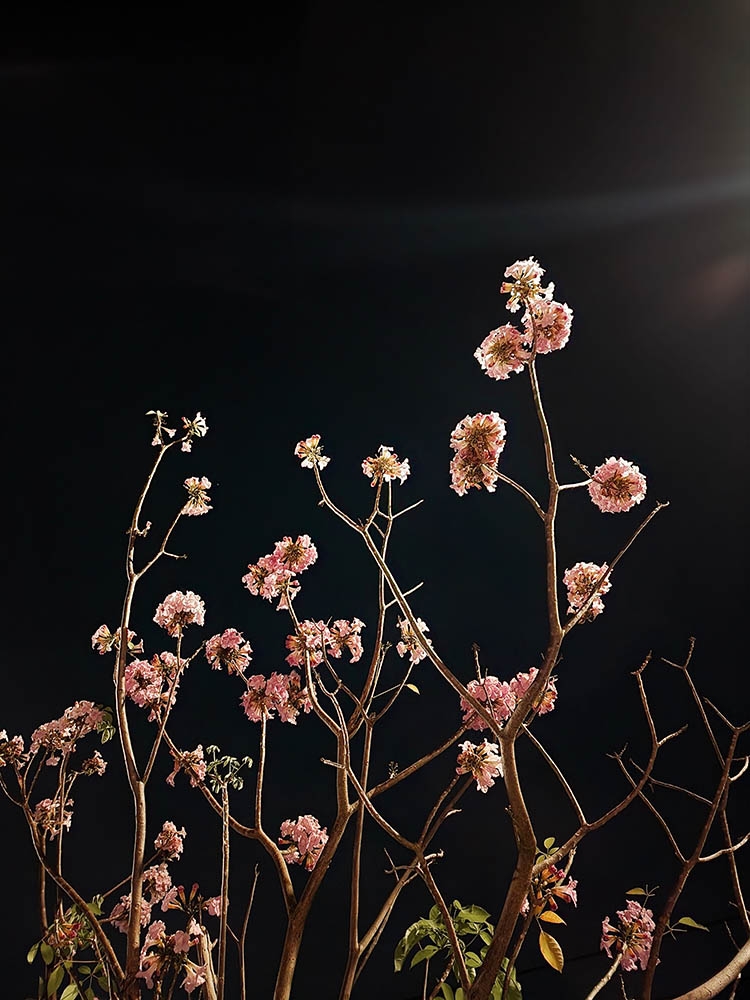 Camera Galaxy S22 Series – Mắt thần bóng đêm cùng bạn tận hưởng Nightlife tuyệt vời 9