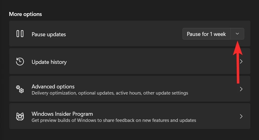 Mẹo hay để tắt Windows 11 mà không cần cập nhật Windows (4)