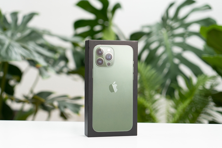 Trên tay iPhone 13 Pro Max Xanh Lá 11