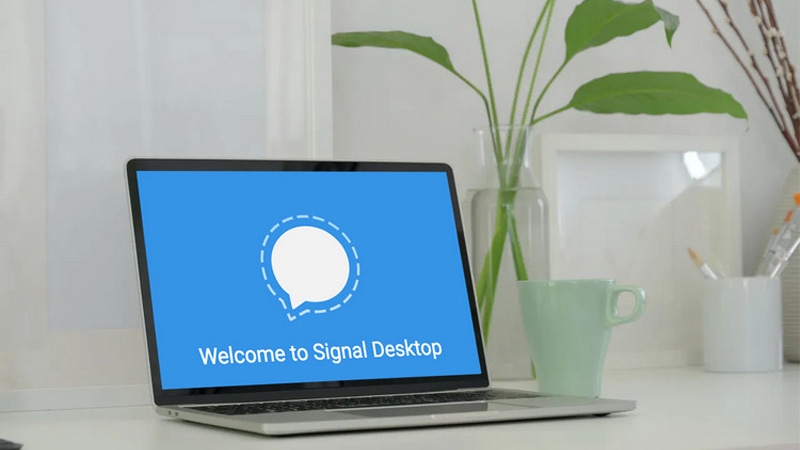 Cách thay đổi ngôn ngữ trên ứng dụng Signal bằng máy tính