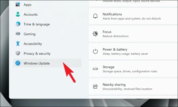 Hướng dẫn 4 cách cập nhật driver đồ họa trên Windows 11 (2)