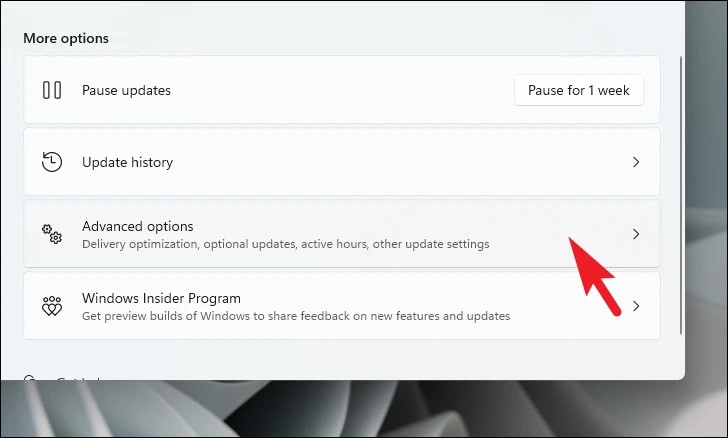 Hướng dẫn 4 cách cập nhật driver đồ họa trên Windows 11 (3)
