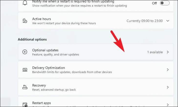 Hướng dẫn 4 cách cập nhật driver đồ họa trên Windows 11 (4)