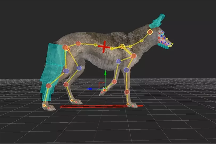 ZooBuilder