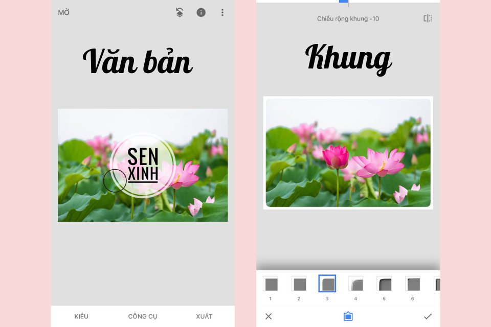 Snapseed là gì? Hướng dẫn sử dụng Snapseed đầy đủ và chi tiết nhất