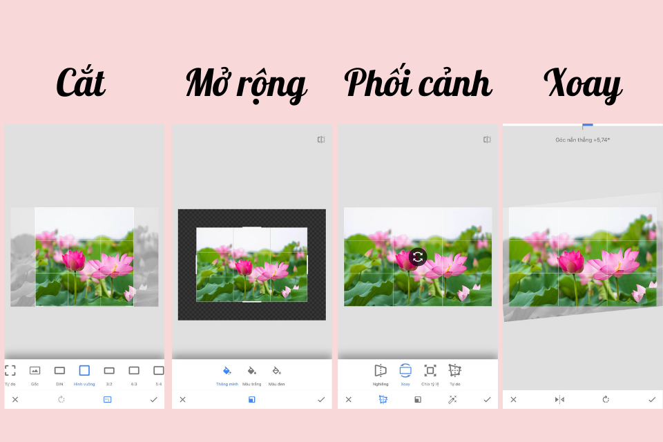 Snapseed là gì? Hướng dẫn sử dụng Snapseed đầy đủ và chi tiết nhất