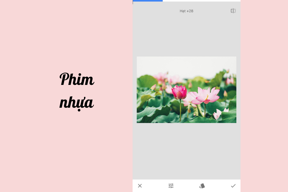 Snapseed là gì? Hướng dẫn sử dụng Snapseed đầy đủ và chi tiết nhất