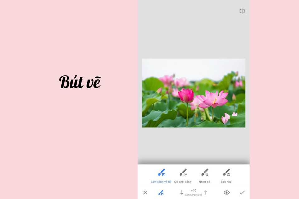 Snapseed là gì? Hướng dẫn sử dụng Snapseed đầy đủ và chi tiết nhất