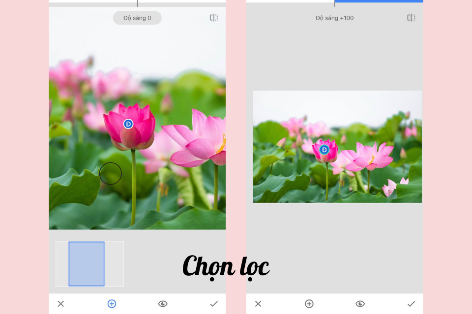 Snapseed là gì? Hướng dẫn sử dụng Snapseed đầy đủ và chi tiết nhất