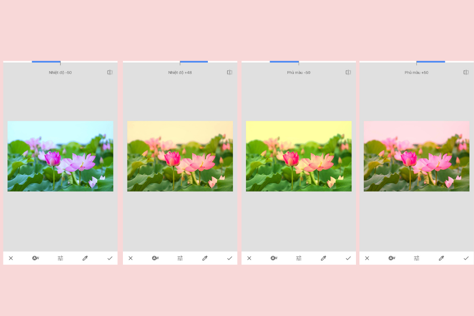 Snapseed là gì? Hướng dẫn sử dụng Snapseed đầy đủ và chi tiết nhất