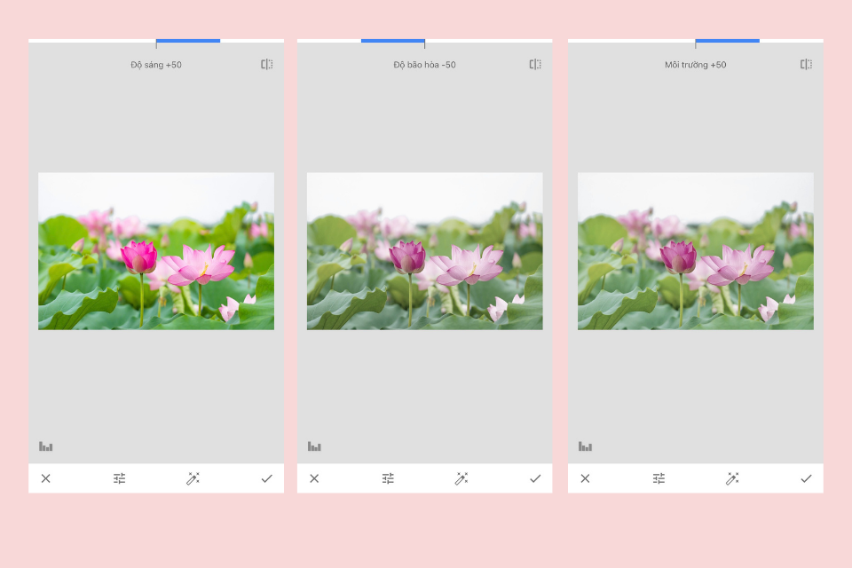Snapseed là gì? Hướng dẫn sử dụng Snapseed đầy đủ và chi tiết nhất