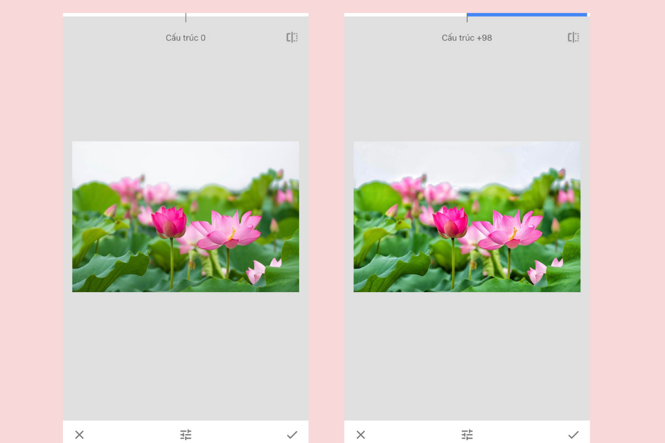 Snapseed là gì? Hướng dẫn sử dụng Snapseed đầy đủ và chi tiết nhất