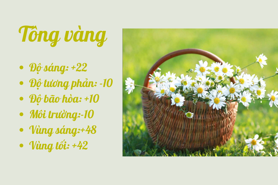 Top những công thức chỉnh ảnh Snapseed đẹp lung linh