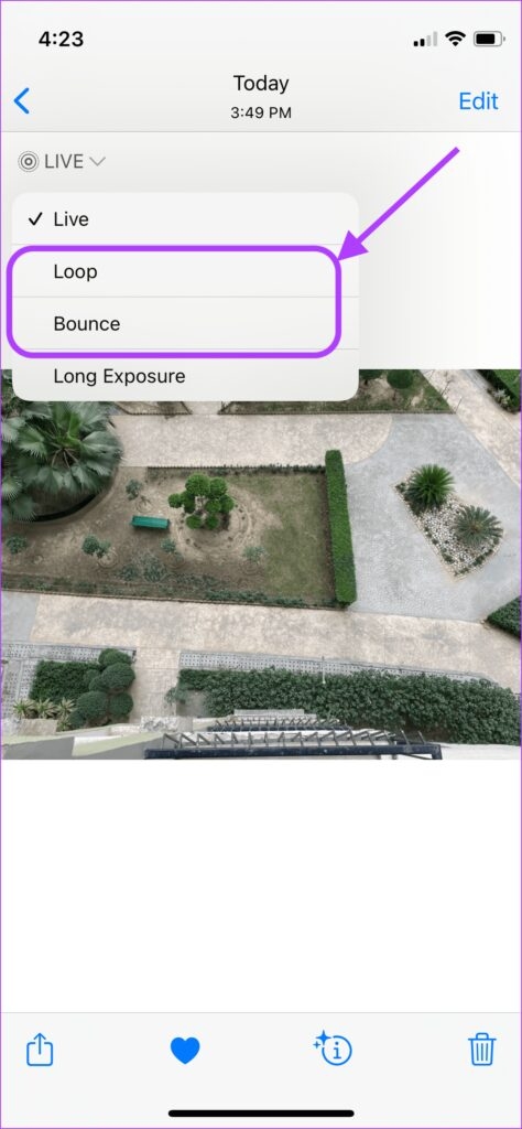 Cách gửi ảnh Live Photo dưới dạng GIF trên WhatsApp (11)