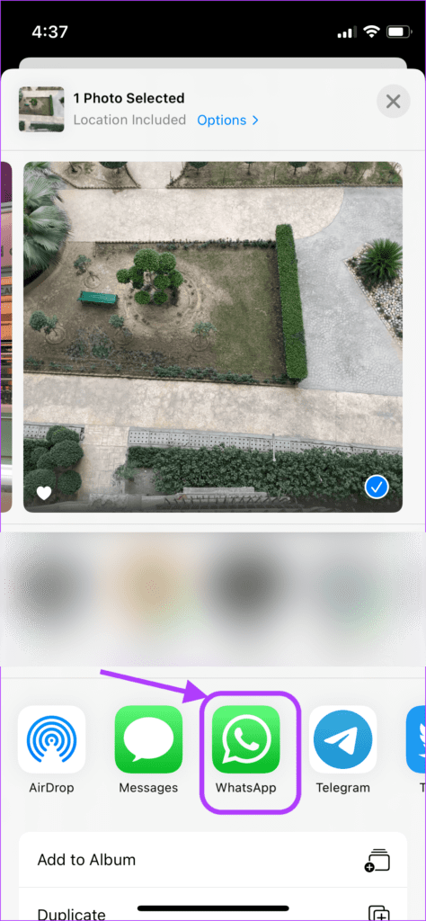 Cách gửi ảnh Live Photo dưới dạng GIF trên WhatsApp (13)